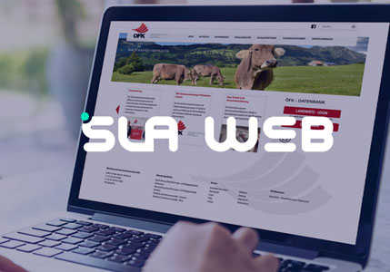 Produkt SLA Web